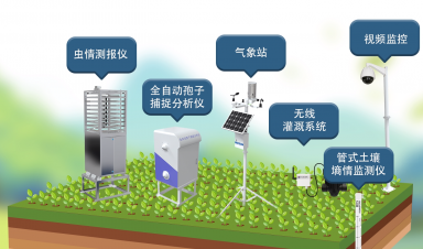 智慧農業創新方案，賦能農業現代化轉型新征程